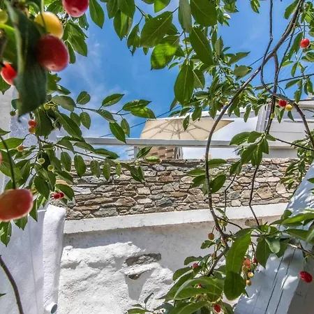 Axas House Lejlighed *